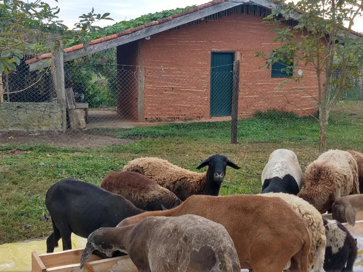 Pousada Rural Ouro Verde Eldorado Eksteriør bilde