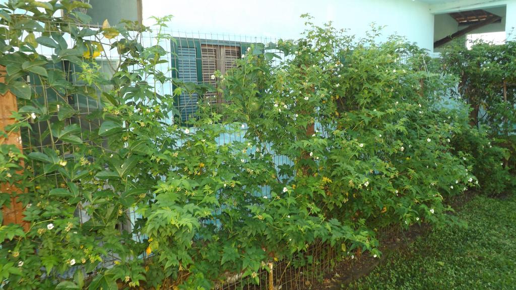 Pousada Rural Ouro Verde Eldorado Eksteriør bilde