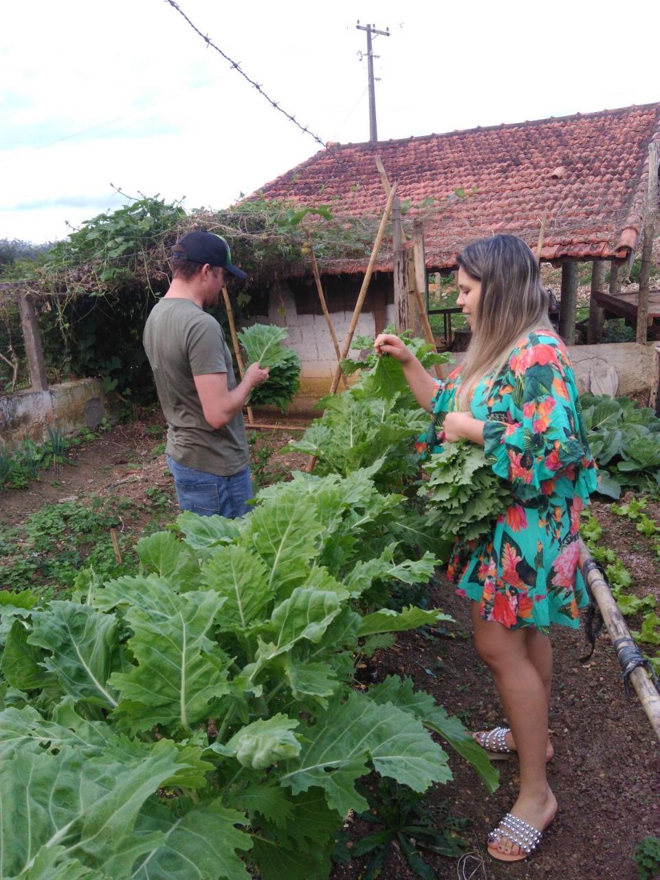 Pousada Rural Ouro Verde Eldorado Eksteriør bilde